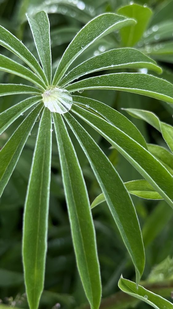 Фотография автора Наталья Филоненко