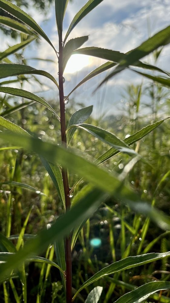Фотография автора Наталья Филоненко