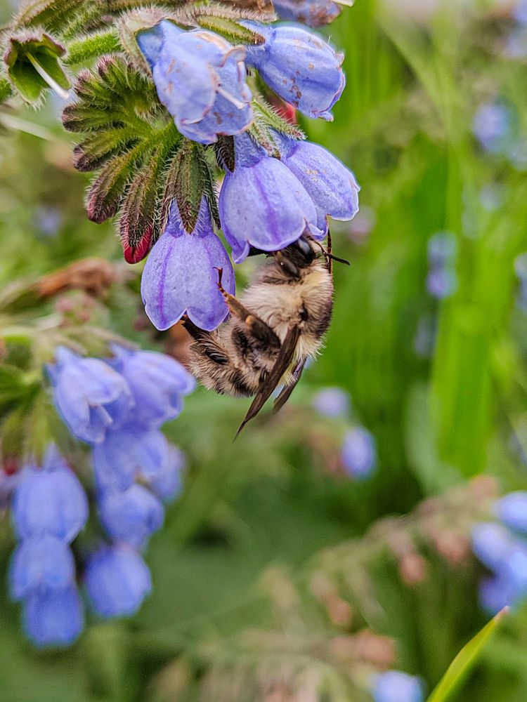 Photograph by Наталья Сенотрусова