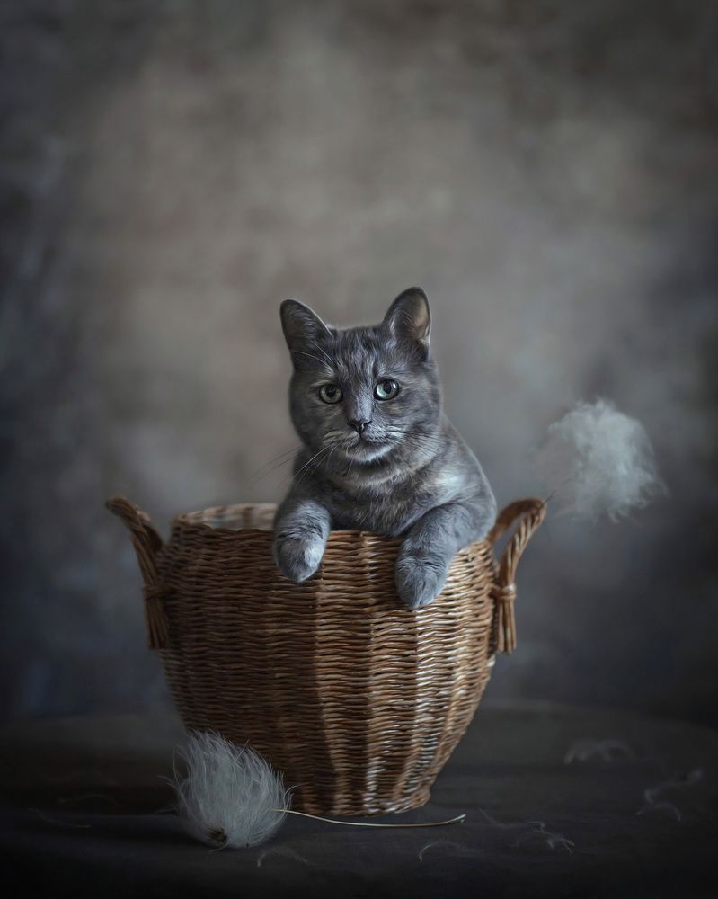 Photograph by Татьяна Самойлова