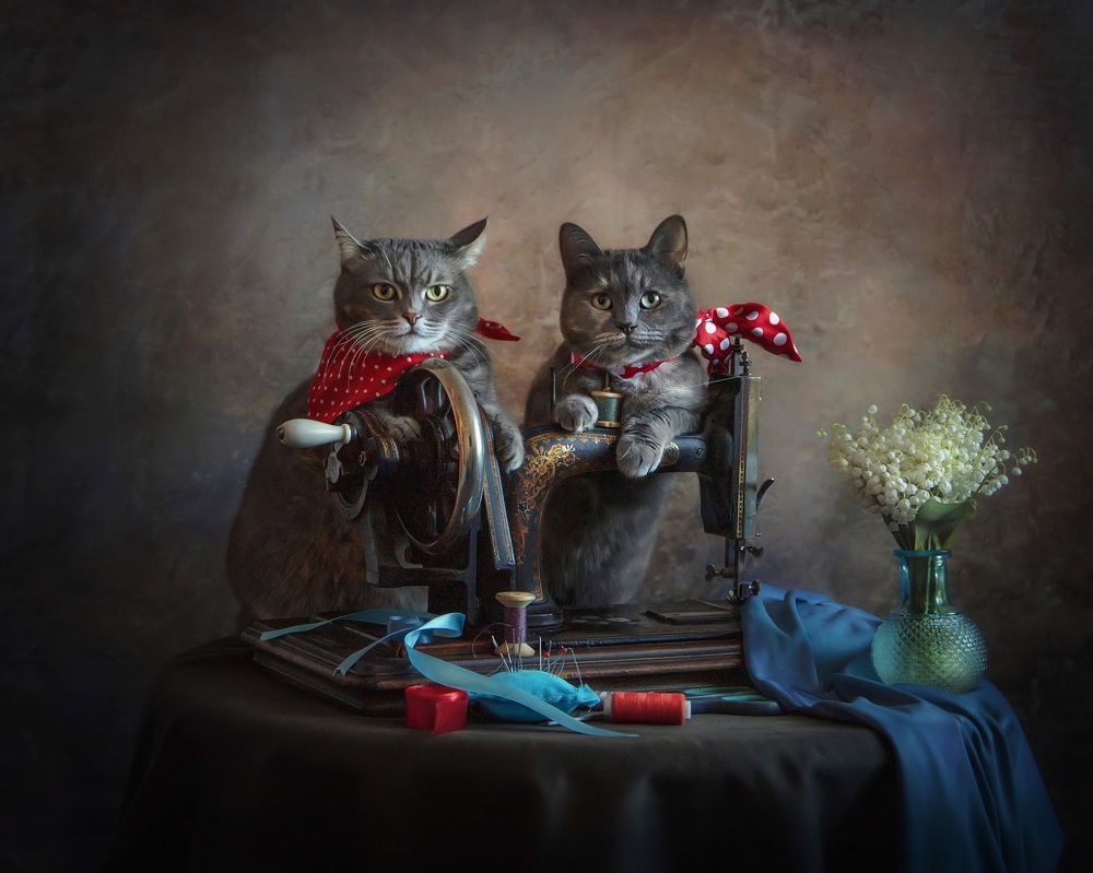 Photograph by Татьяна Самойлова