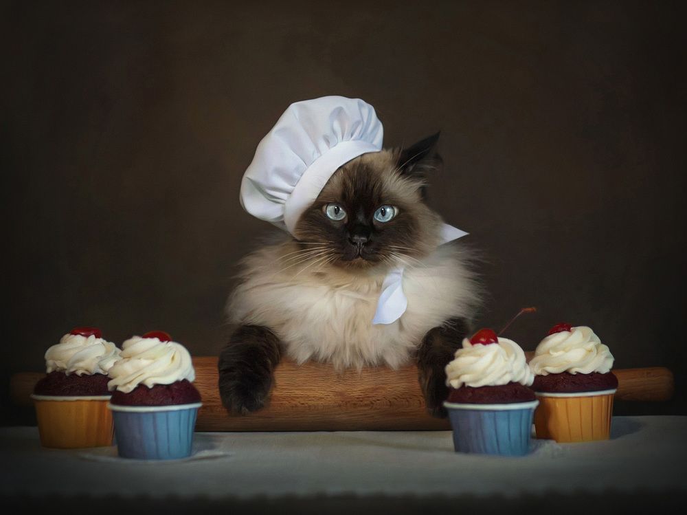 Photograph by Татьяна Самойлова