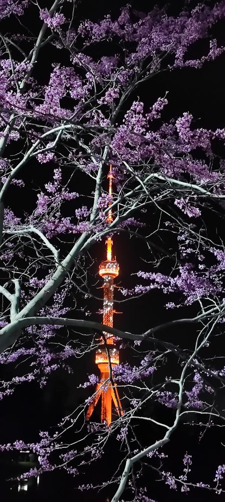 Photograph by Yuriy  Korsuntsev