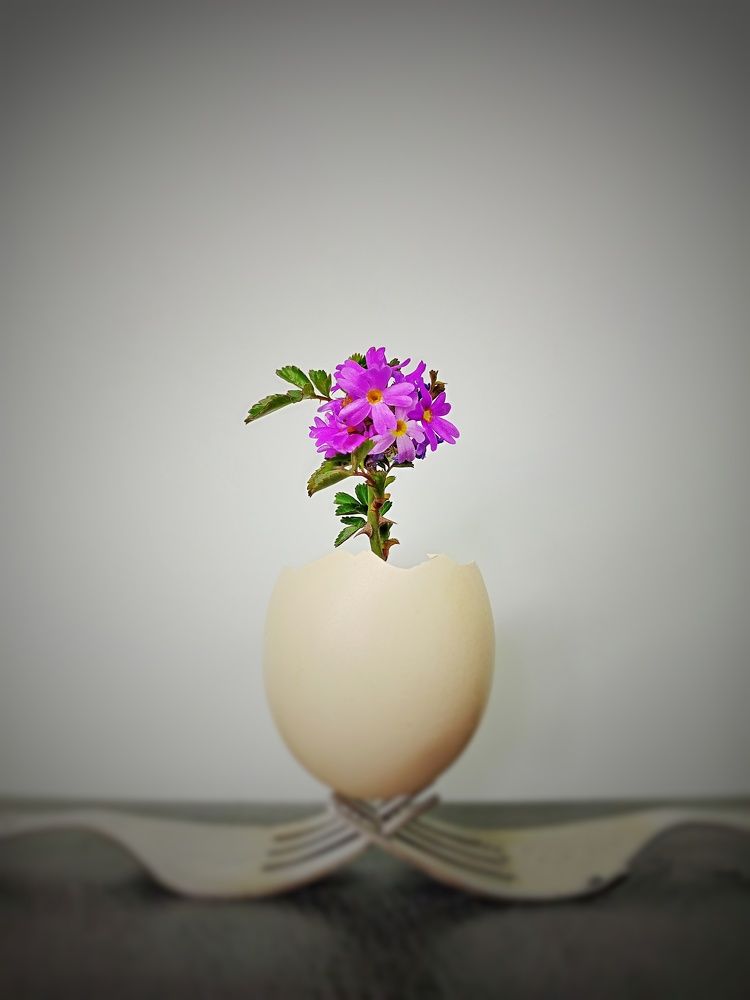 Фотография автора James Timsena