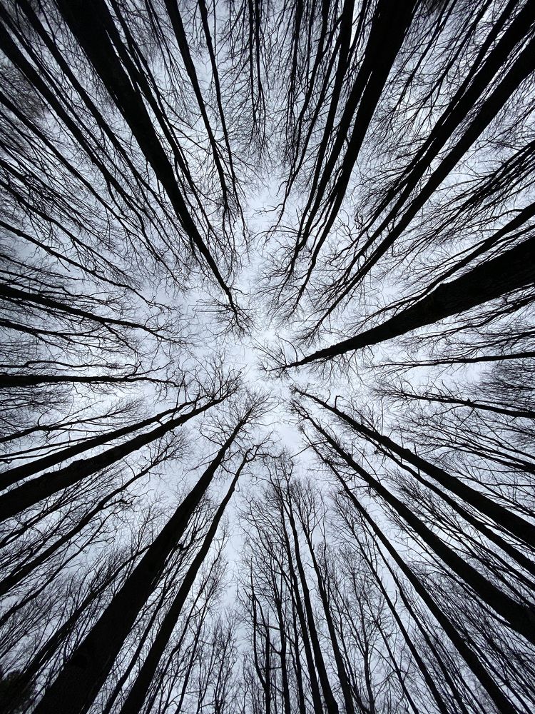 Фотография автора Екатерина Киреева