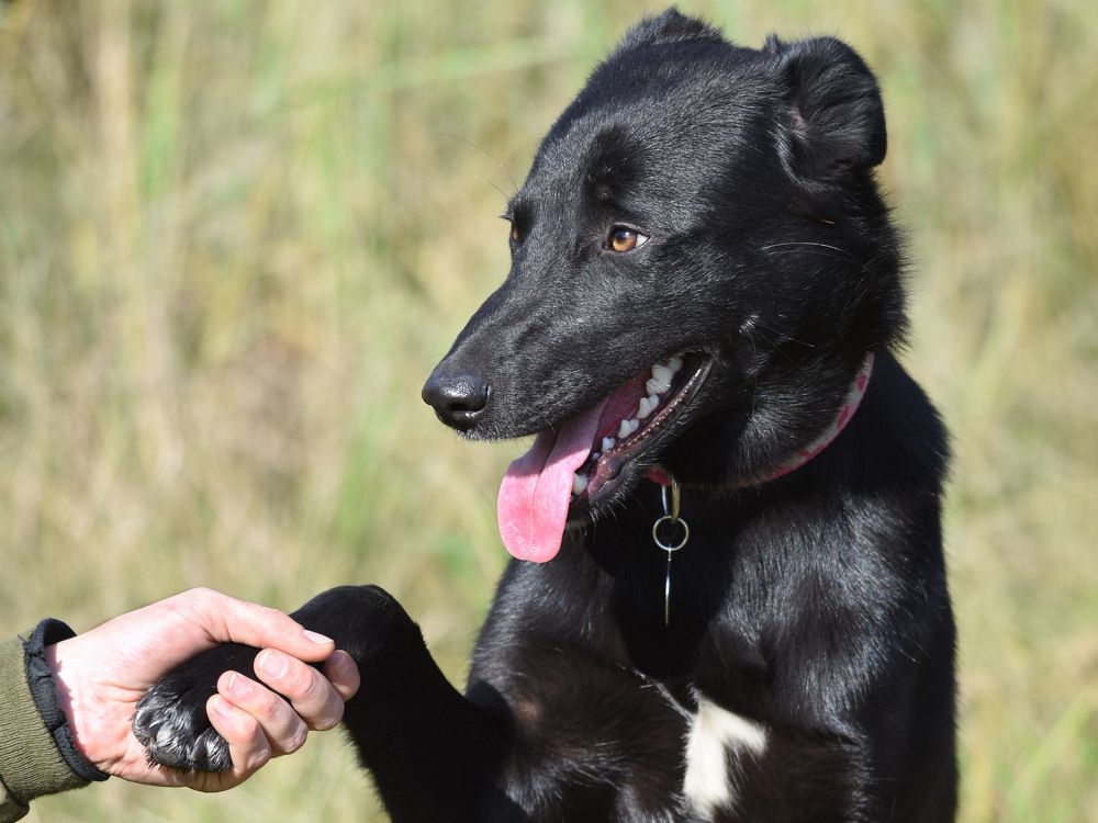 Photograph by Владимир Сафонов