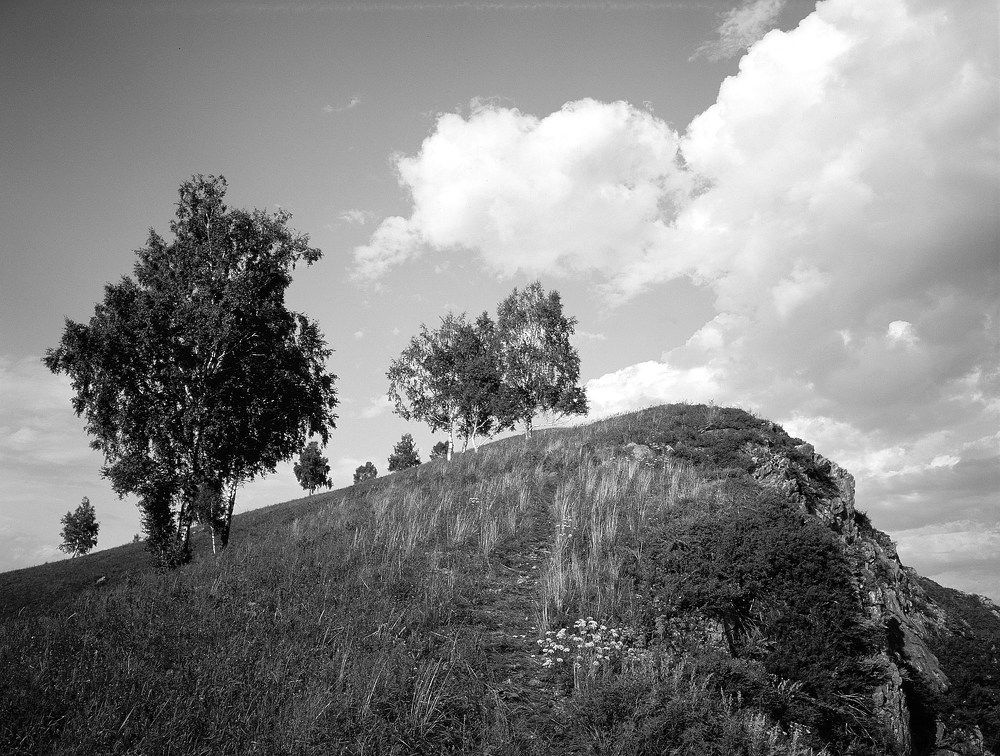 Photograph by Дмитрий Ткаченко