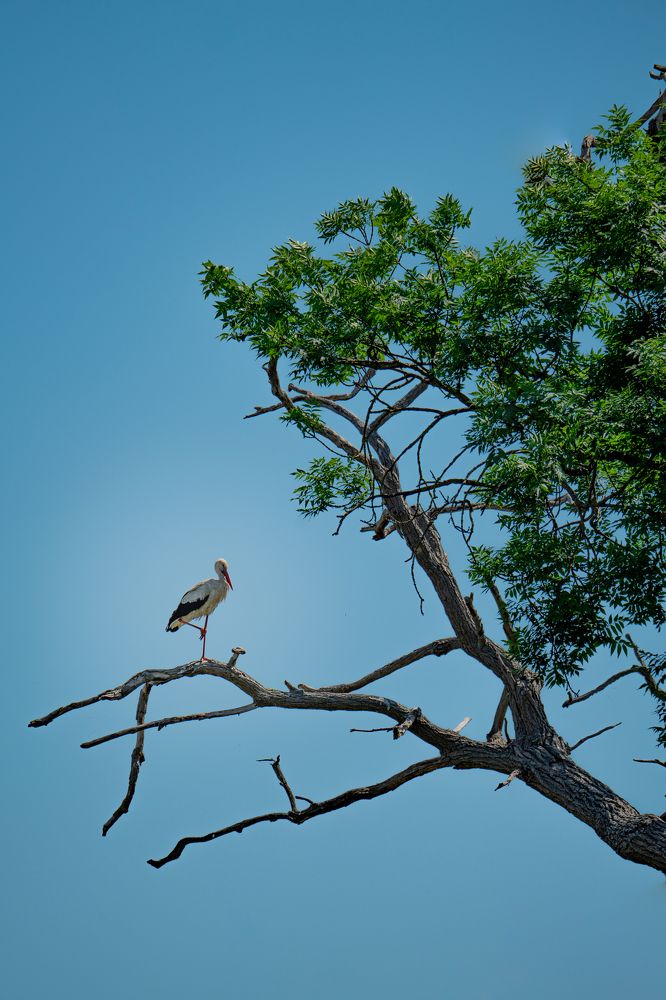 Photograph by Михаил Мамаев