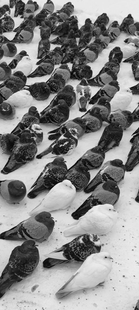 Photograph by Кристина Родина