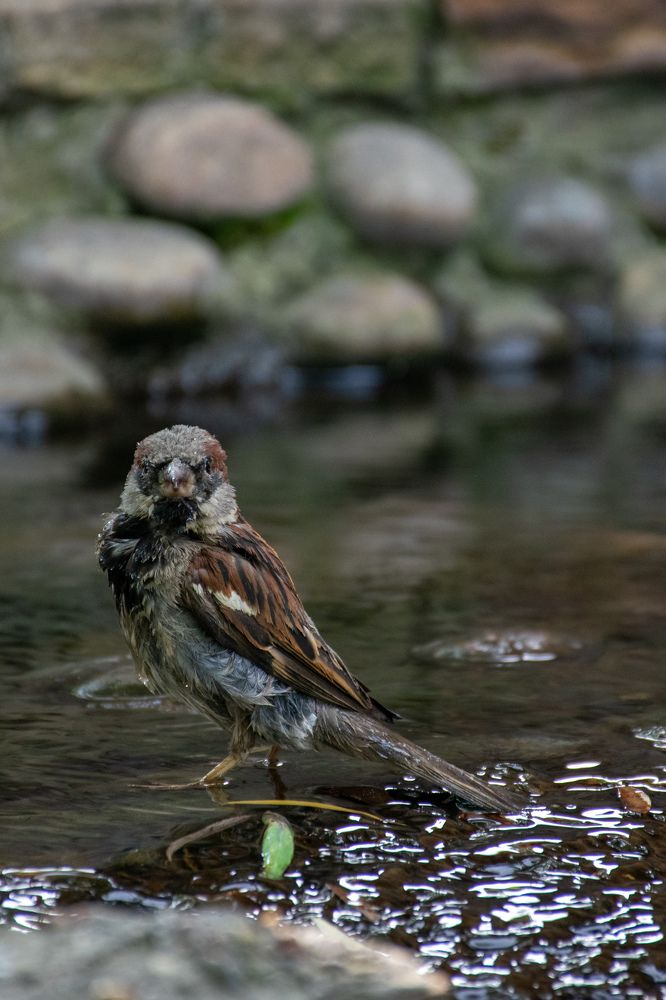 Photograph by Кристина Родина