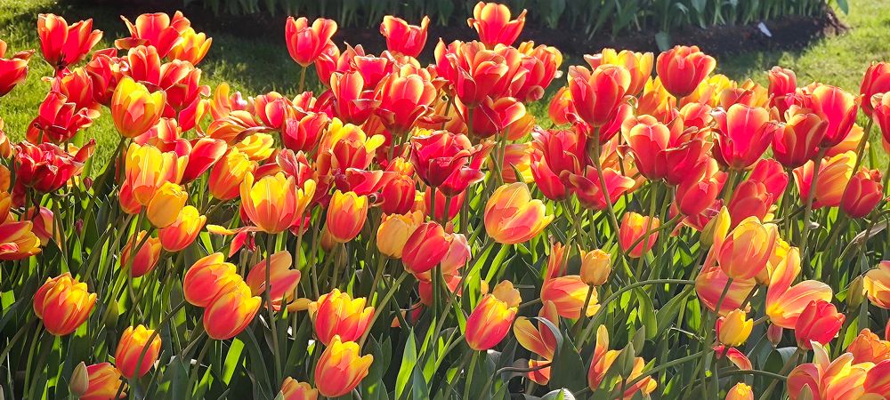 Photograph by Yuriy  Korsuntsev