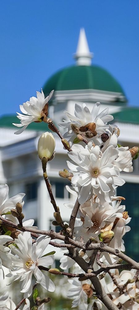 Photograph by Yuriy  Korsuntsev