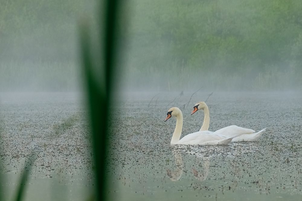 Photograph by Сергей Кравченко