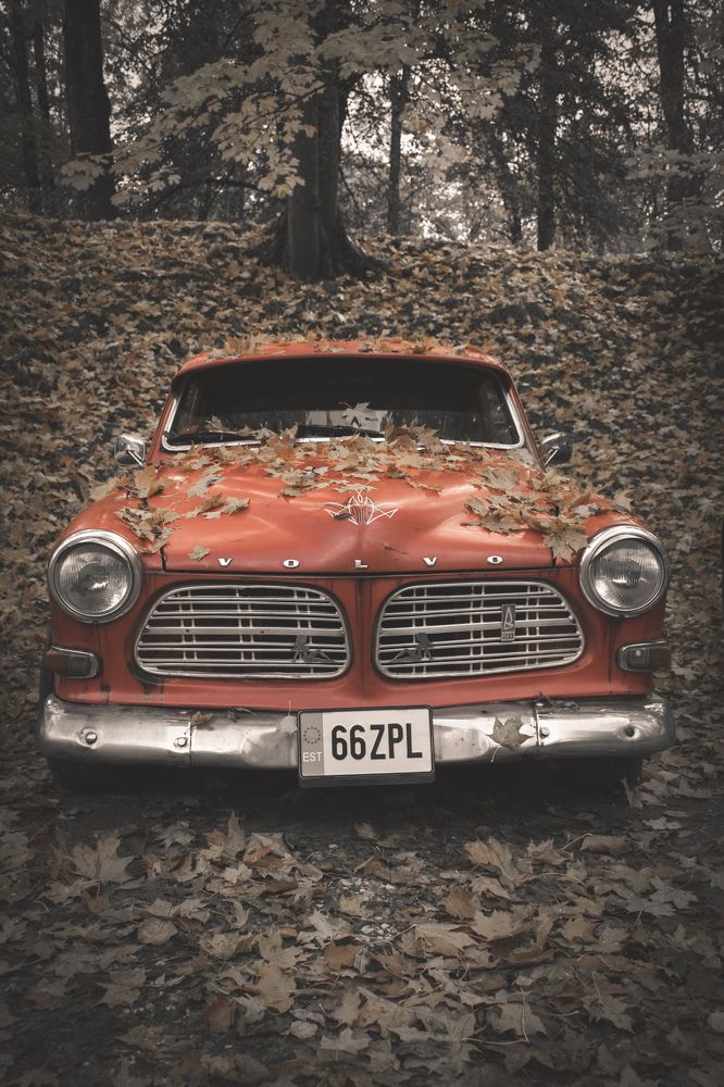 Photograph by Farzaneh Zareei