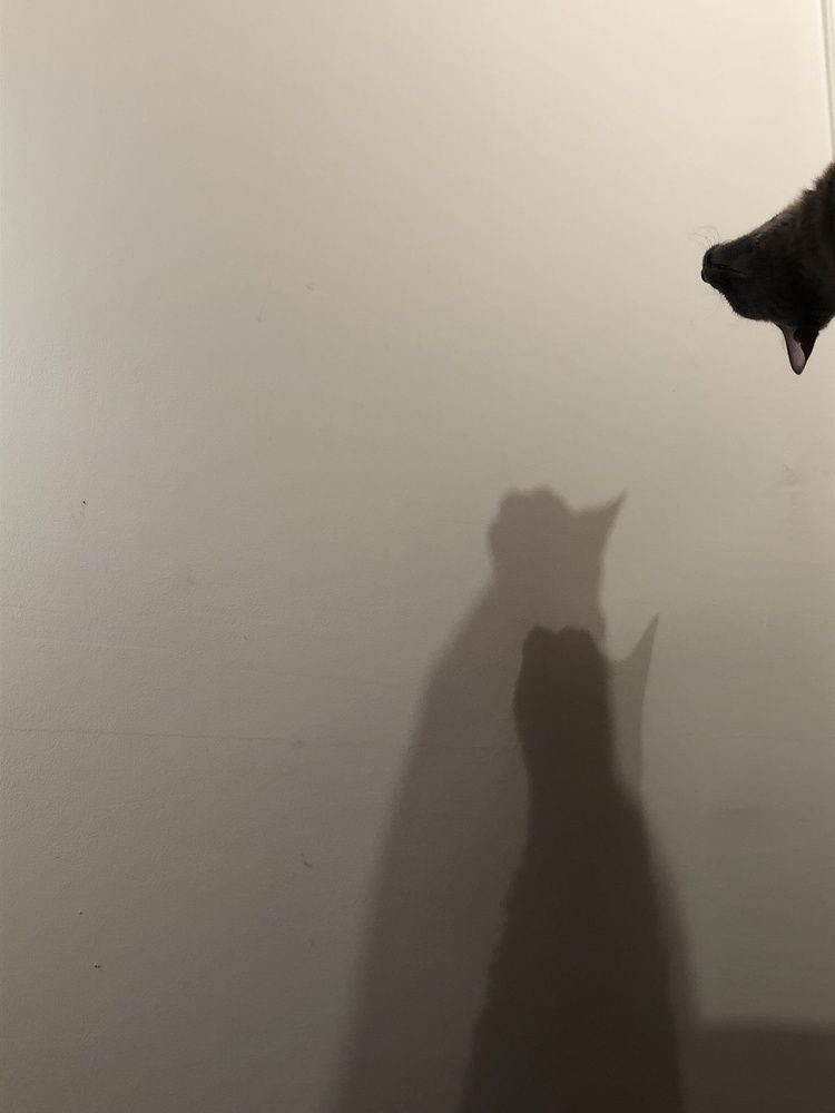 Photograph by Inna Shevchenko