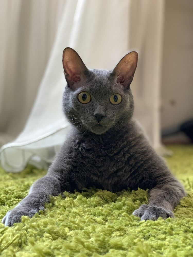 Photograph by Inna Shevchenko