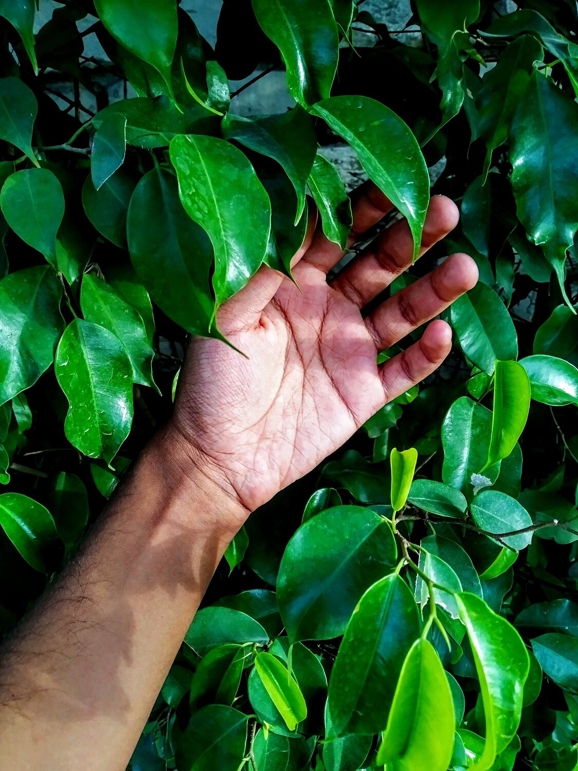 Photo #7659436