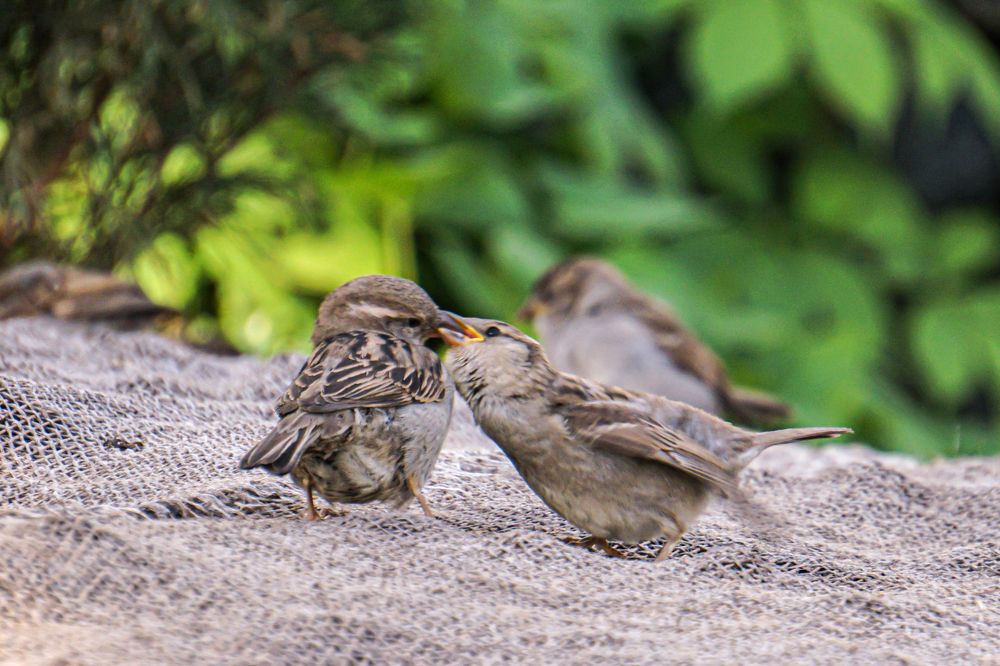 Photograph by Алфия Бугакова