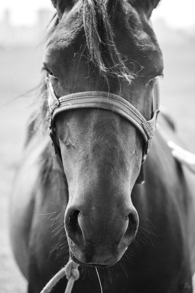 Photograph by Кургузова Дарья