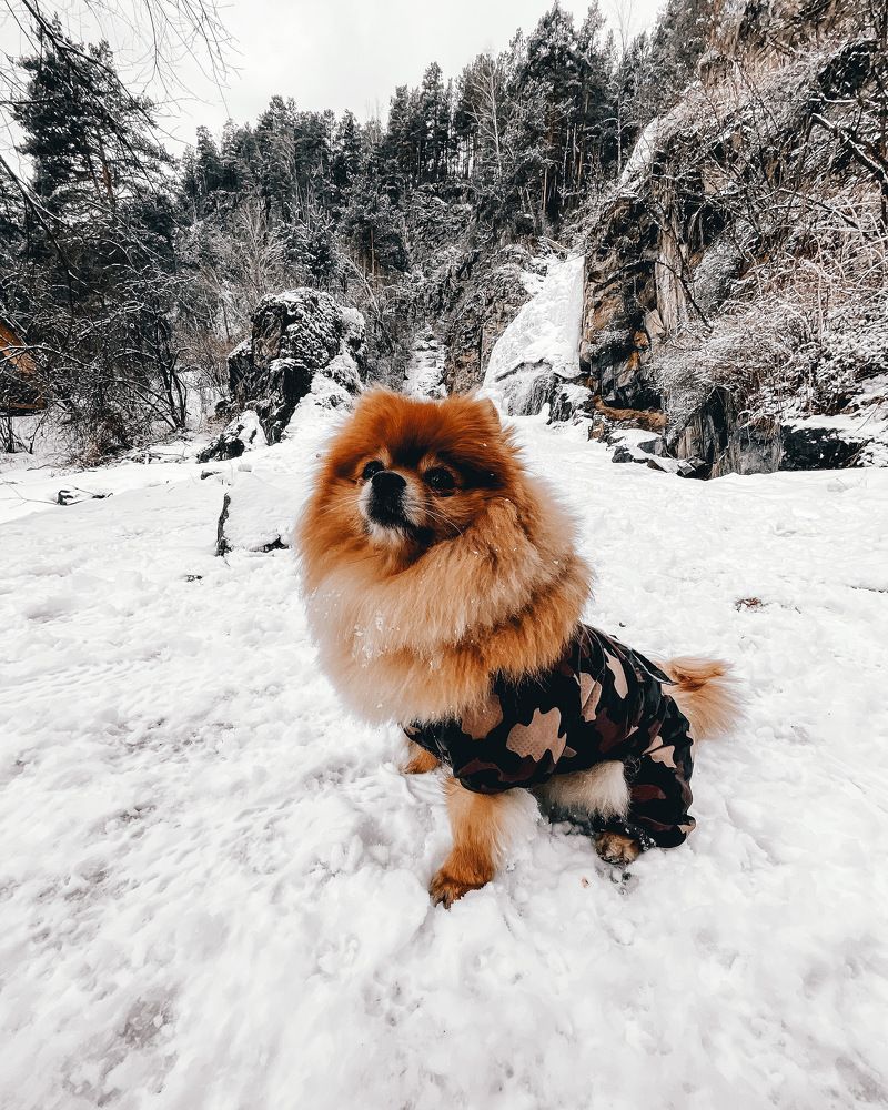 Photograph by Кургузова Дарья