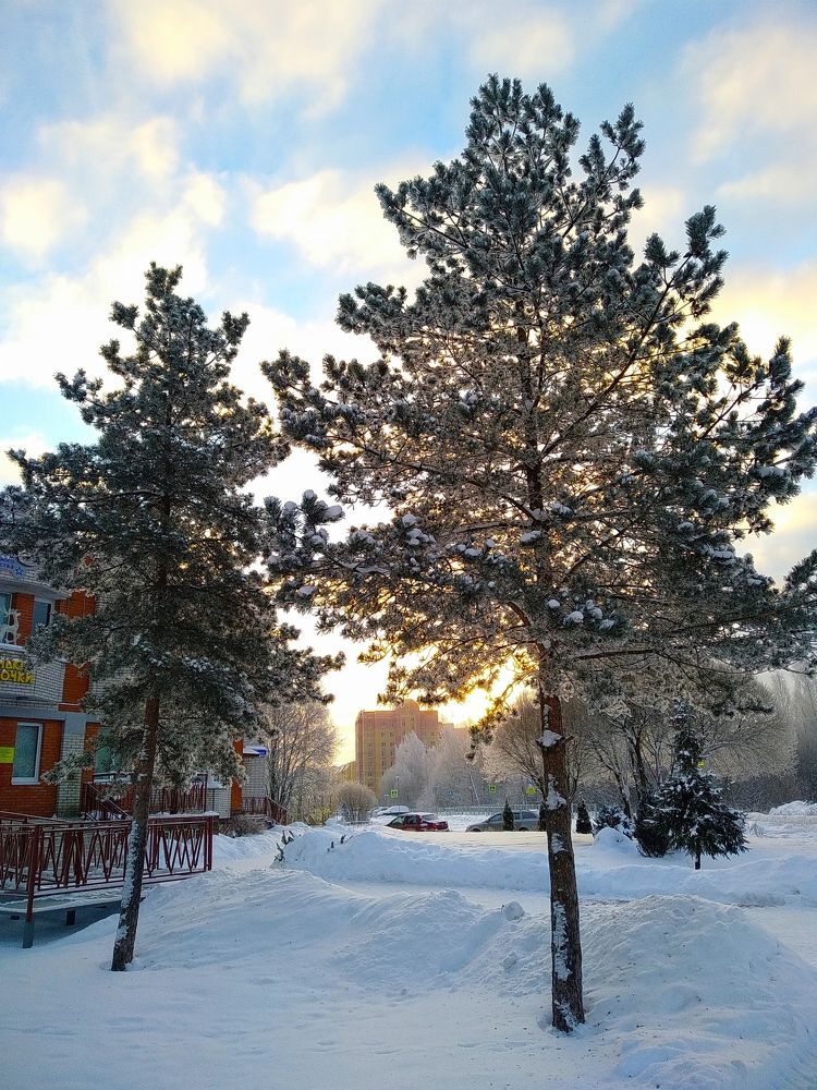 Солнечное утро.