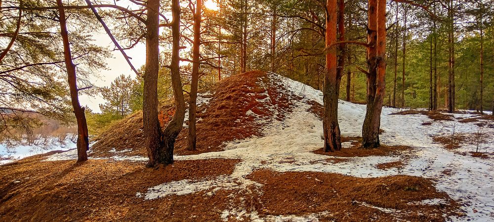 Photograph by Надежда Колеватова