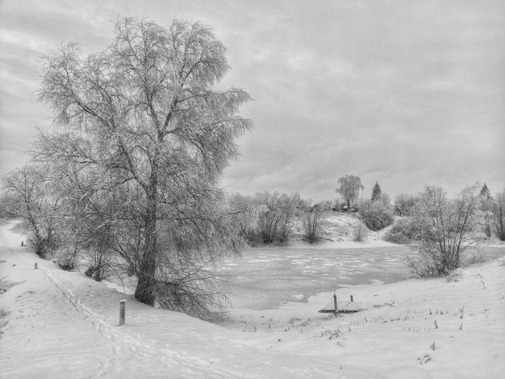 Photograph by Светлана Кондрашова