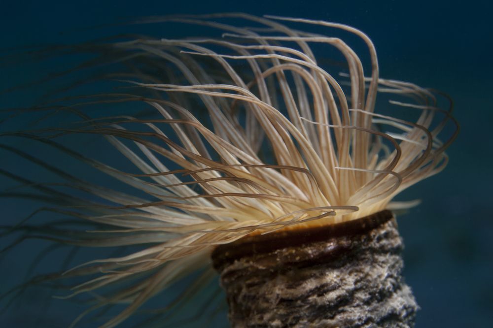 Photograph by Юрий Перевозников