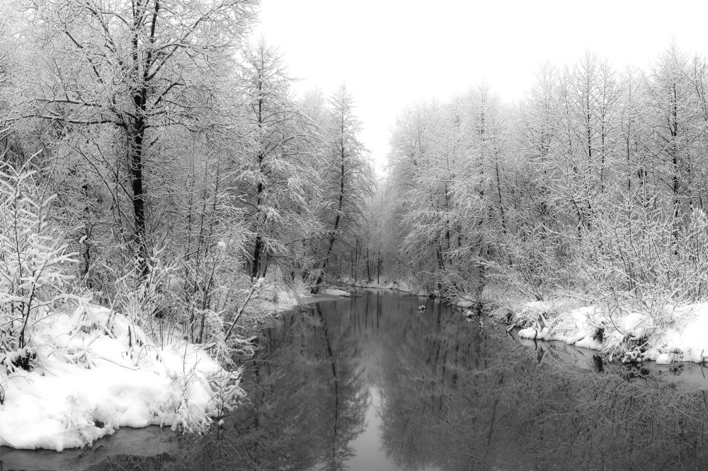 Photograph by Светлана Кондрашова