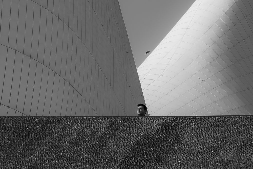 Фотография автора Javid Hashimov