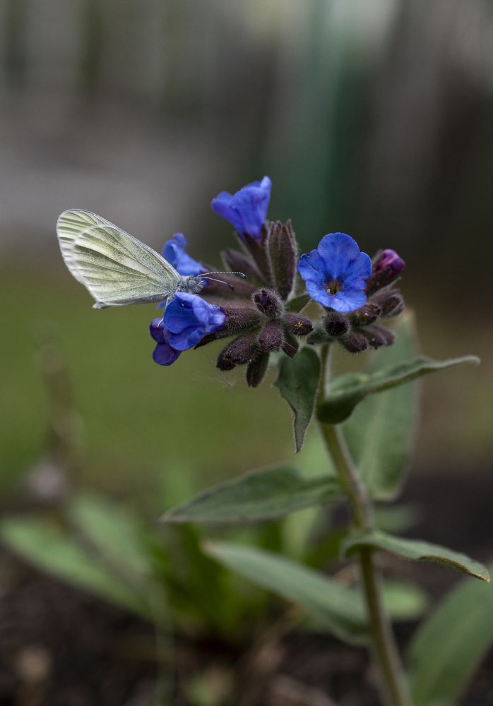 Photograph by Валерия