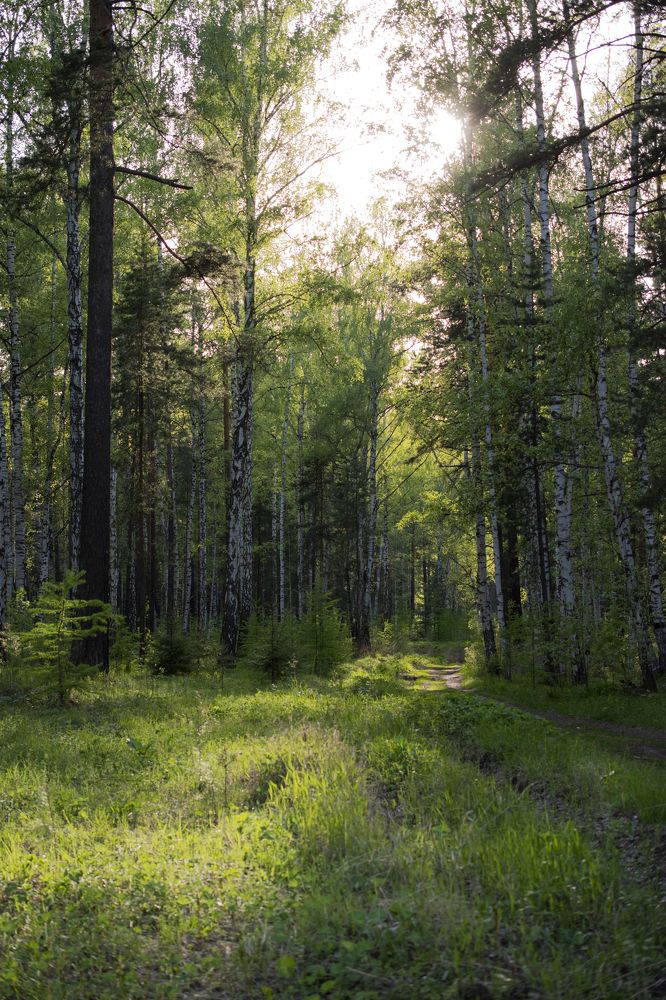 Photograph by Валерия