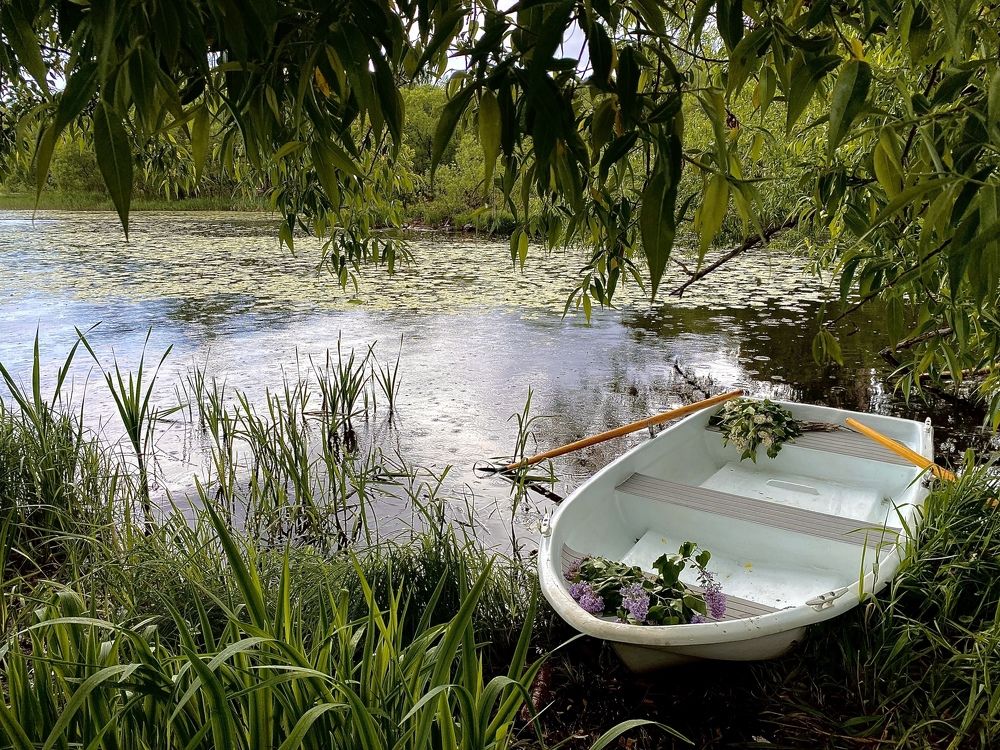 Photograph by Наталья