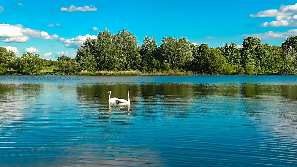 Photograph by Денис Спесивцев