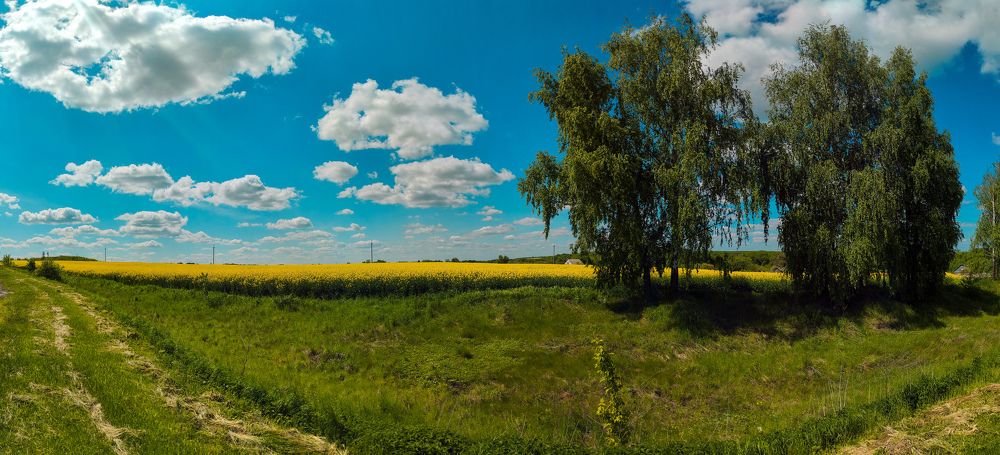 Photograph by Денис Спесивцев