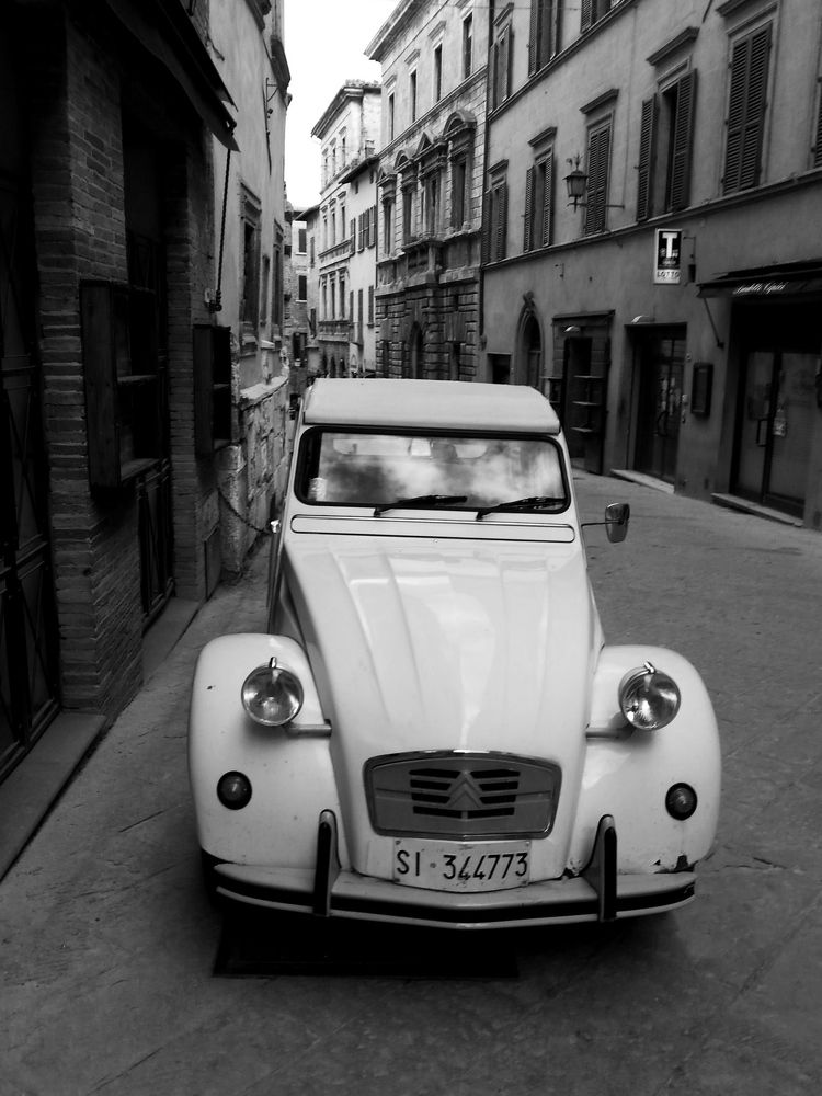 Photograph by Elena Lukashina