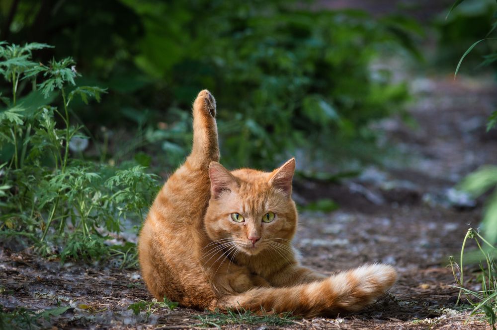 Photograph by Андрей Красников