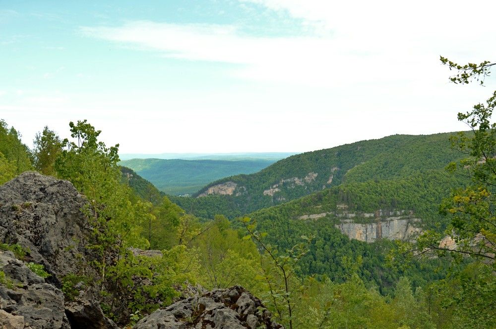 Photograph by Ольга Шевцова