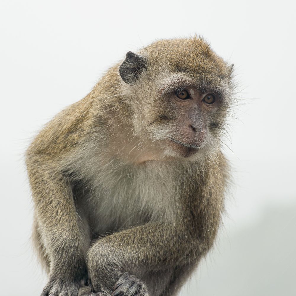 Photograph by Наталья Кокорина