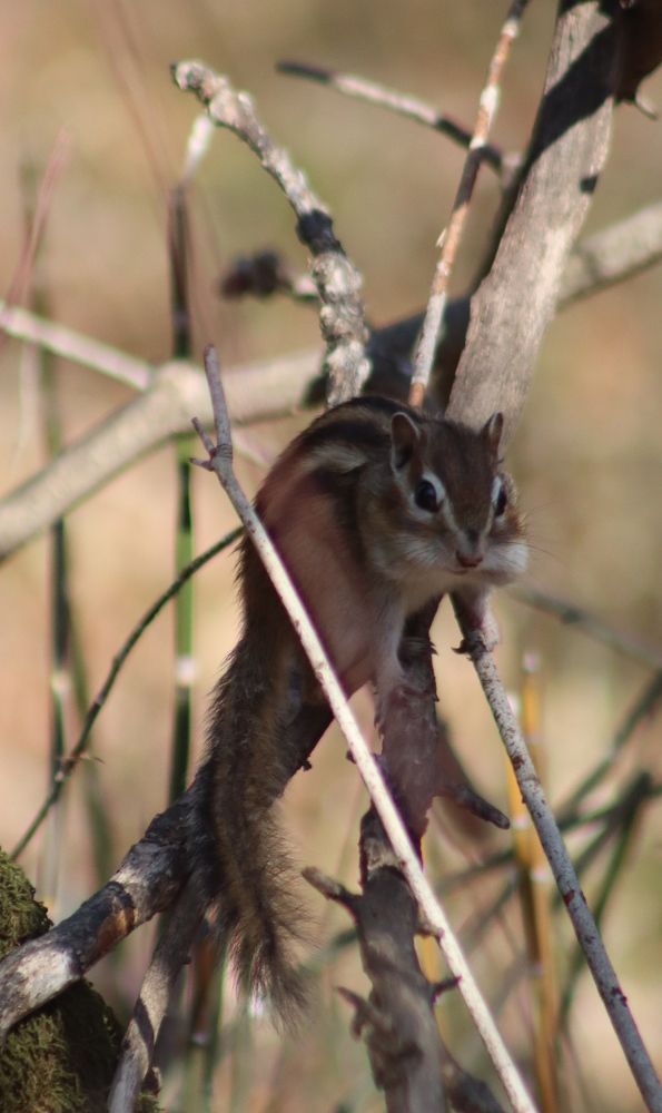 Photograph by Алексей Зудин