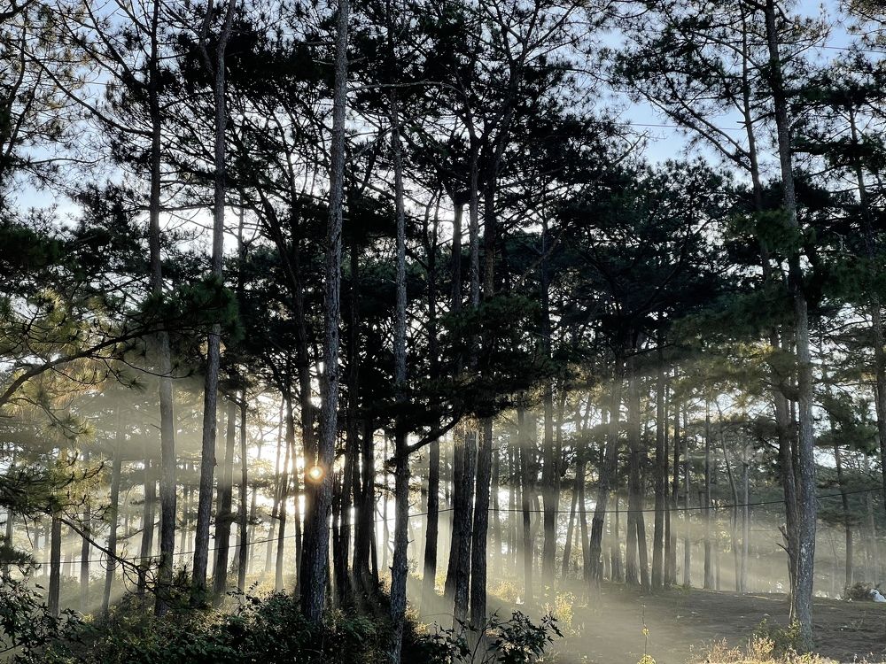 Photograph by Trung Duong