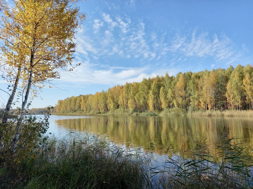 Золотая пора.