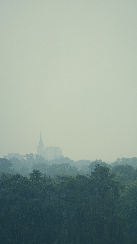 Photograph by Светлана Жорнова