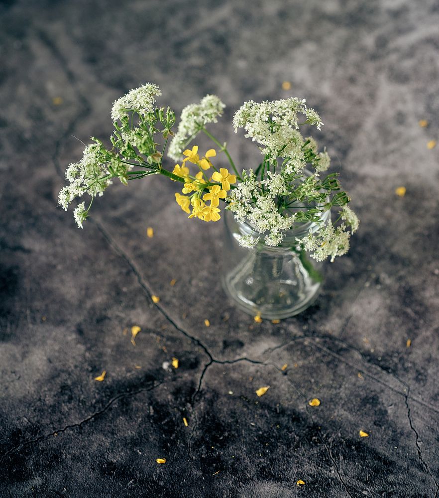 Photograph by Светлана Михайлова