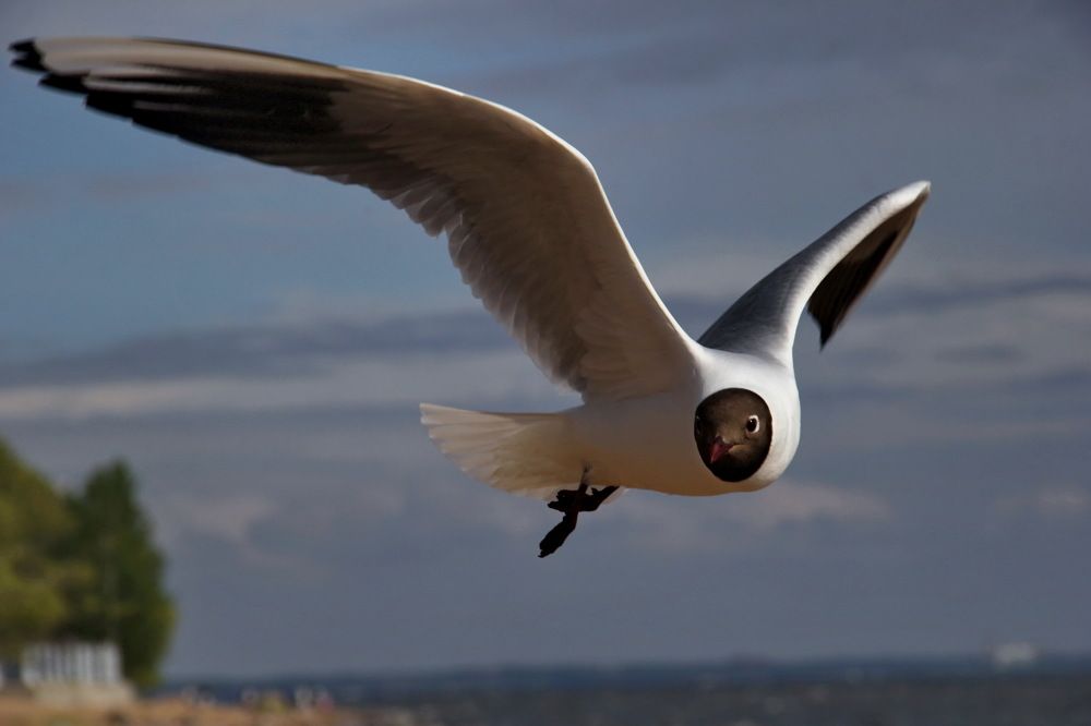 Photograph by Станислав Староверов