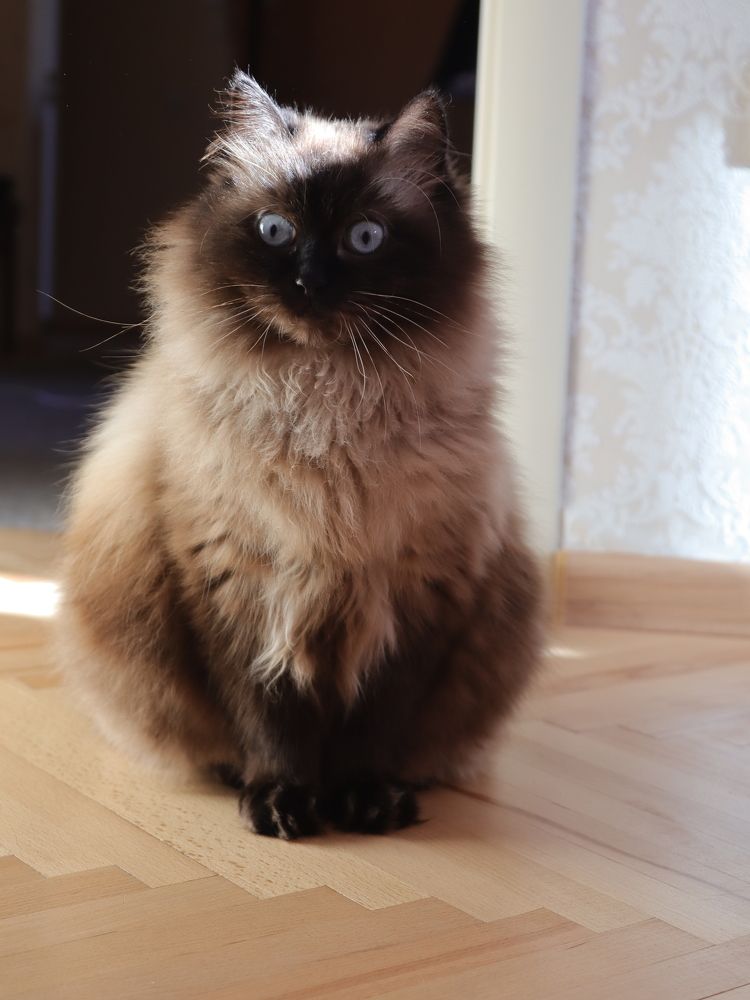 Photograph by Лия Маликова