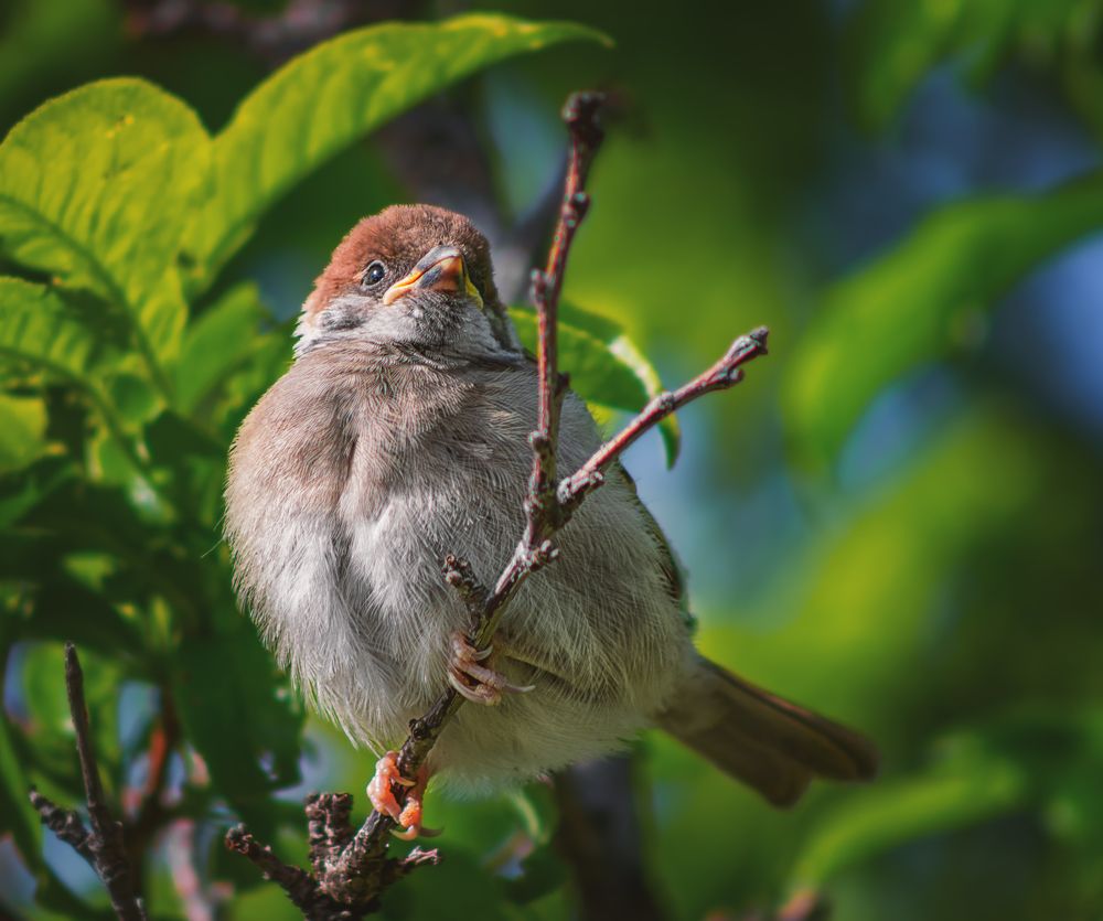 Photograph by Белан Олег