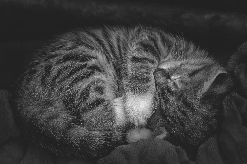 Photograph by Белан Олег