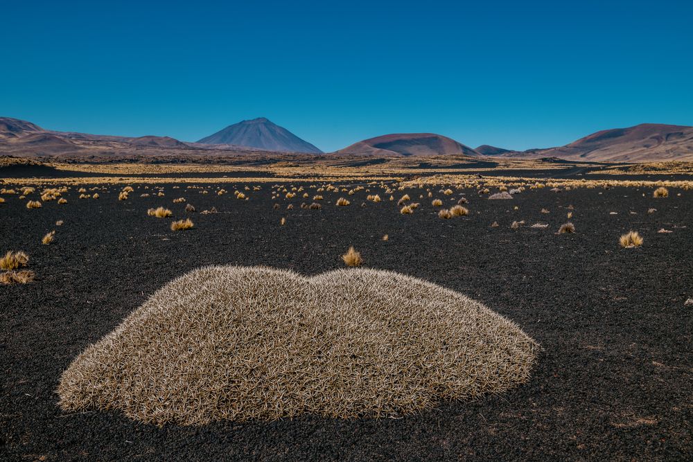 Photograph by Martin Marilungo