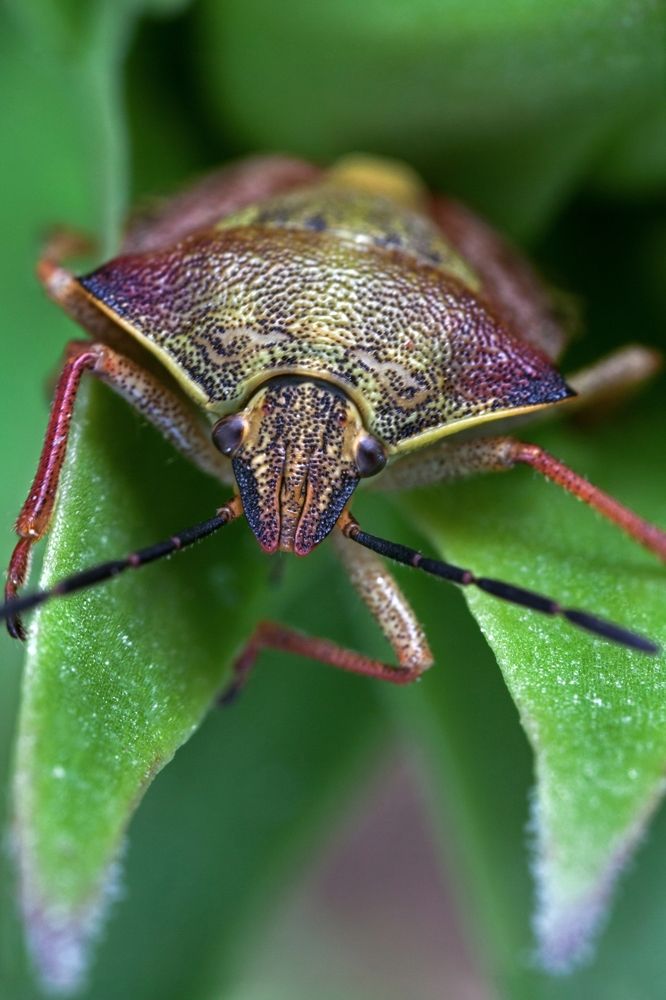 Photograph by Юлия Гаранина